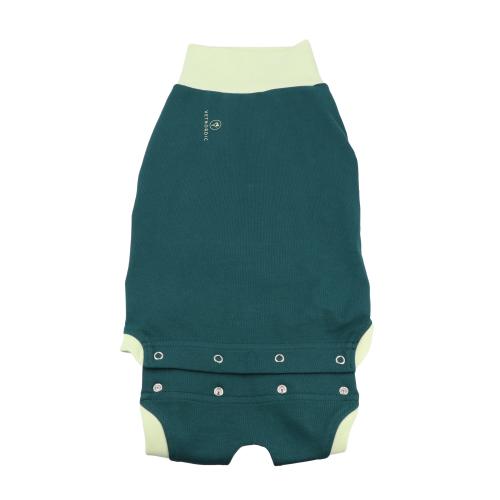 Body Suit, Hond, Biologisch Katoen, groen, 74 cm, 2XL