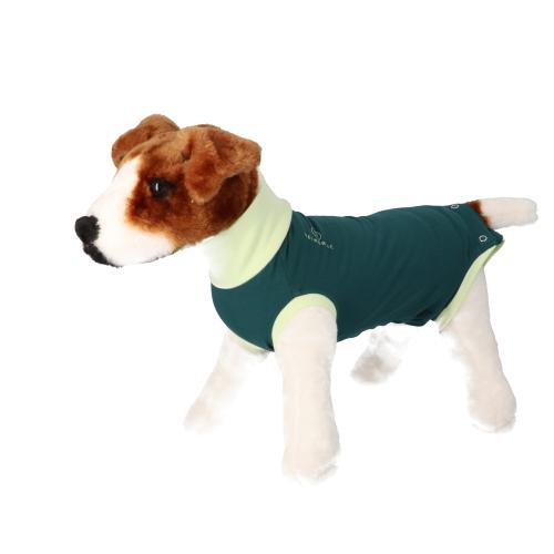Body Suit, Hond, Biologisch Katoen, groen, 74 cm, 2XL